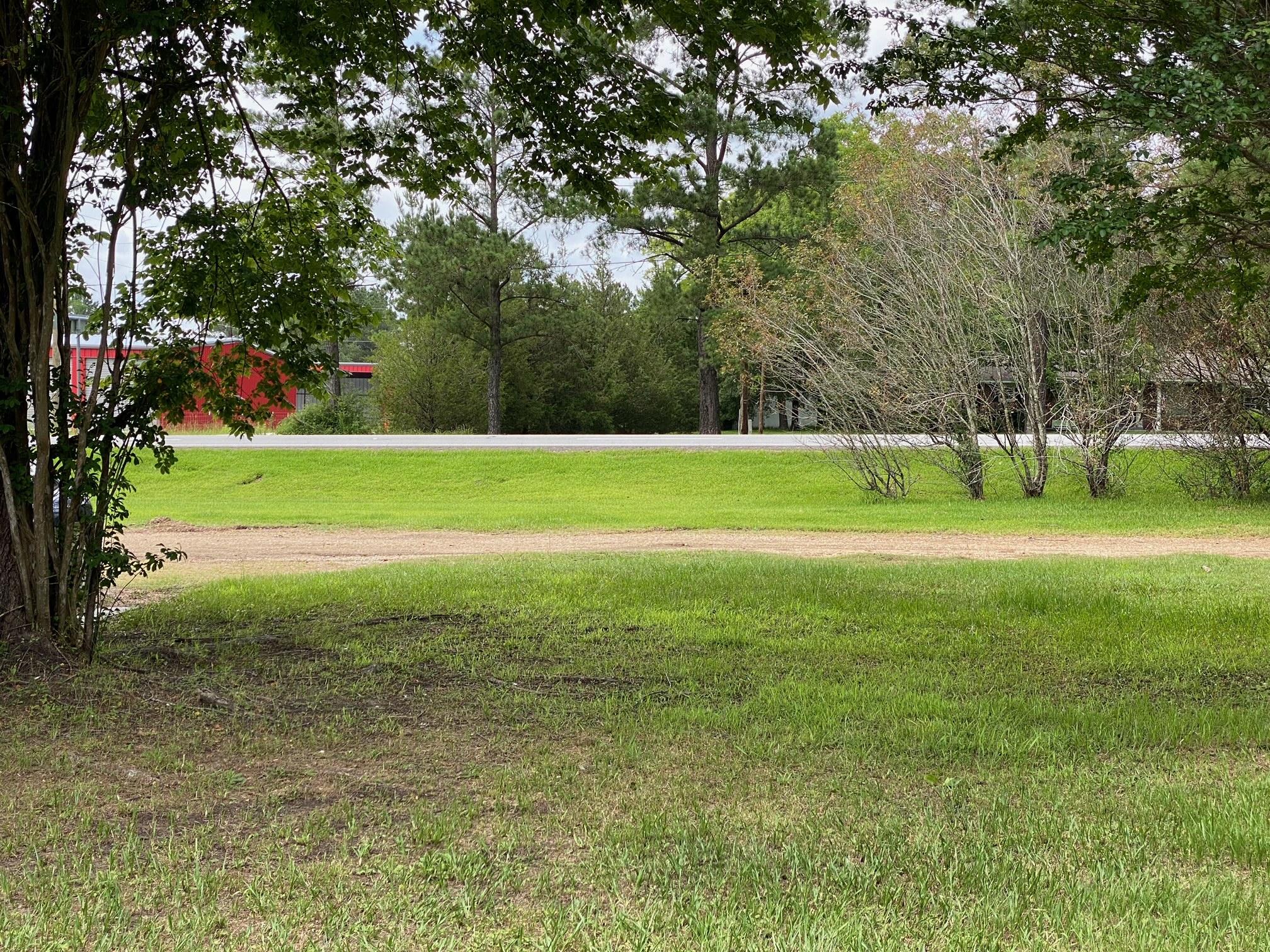 Green fields at the park